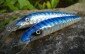 ALALU Sgombro blu- particolare